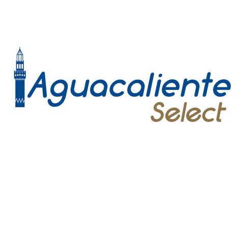 portada galeria AUTOBUSES AGUACALIENTE SELECT