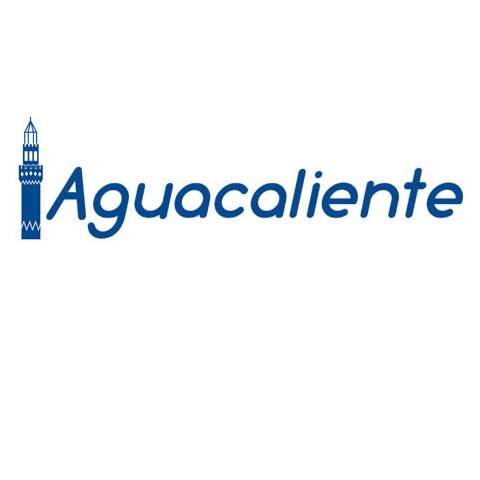 portada galeria AUTOBUSES AGUACALIENTE