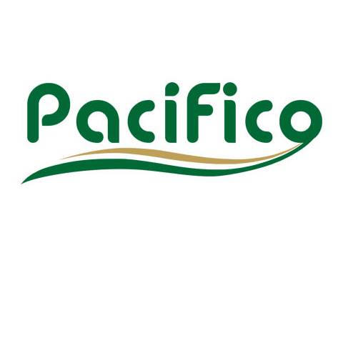 portada galeria AUTOBUSES PACÍFICO