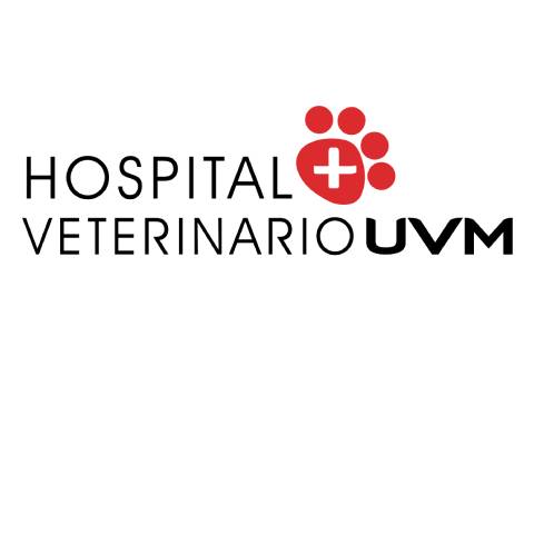 portada galeria HOSPITAL VETERINARIO UVM